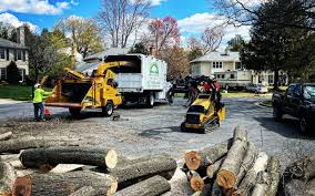 Alorton, IL Tree Removal and Landscaping Services Company